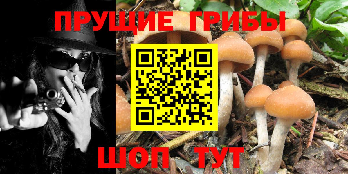 Галлюциногенные грибы MAGIC MUSHROOMS  цены   Вход с VPN  Урай  Галлюциногенные грибы Cubensis 
